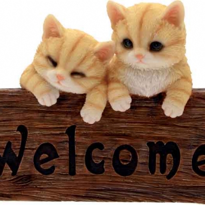 Welcome gatti